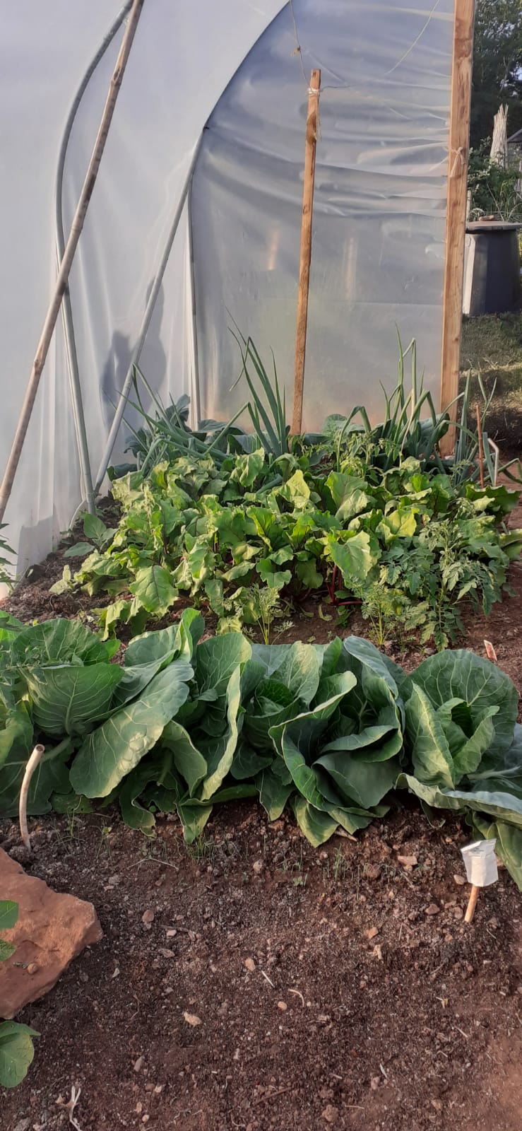 Poly tunnel