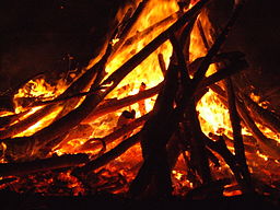 Guy_Fawkes_bonfire_2007.jpg